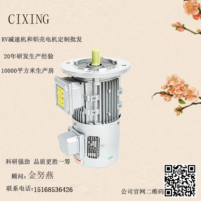 變頻電機(jī)