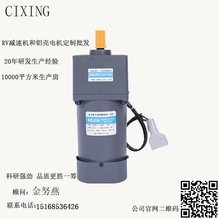 微型電機(jī)